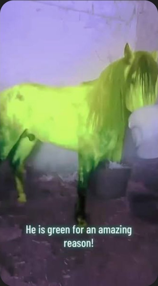 SPUD IF LIKE HE WAS OBJECTUM tweet media