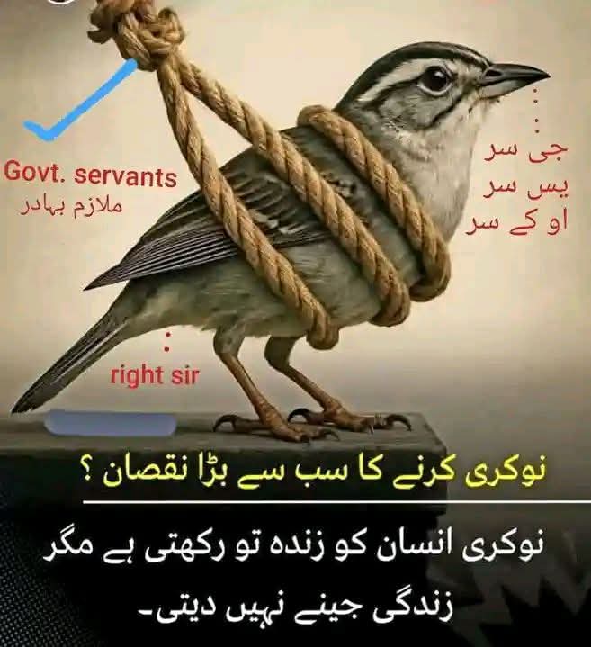 drkhalidee tweet media