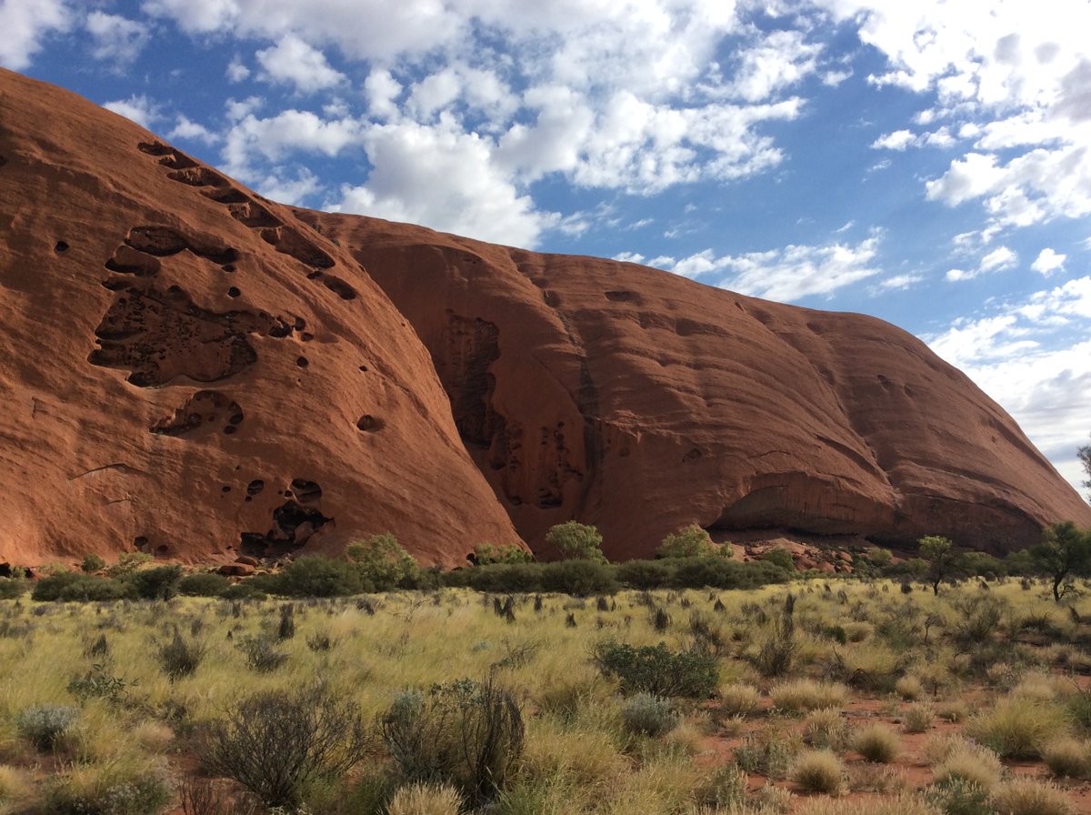 Ian Nowland tweet media