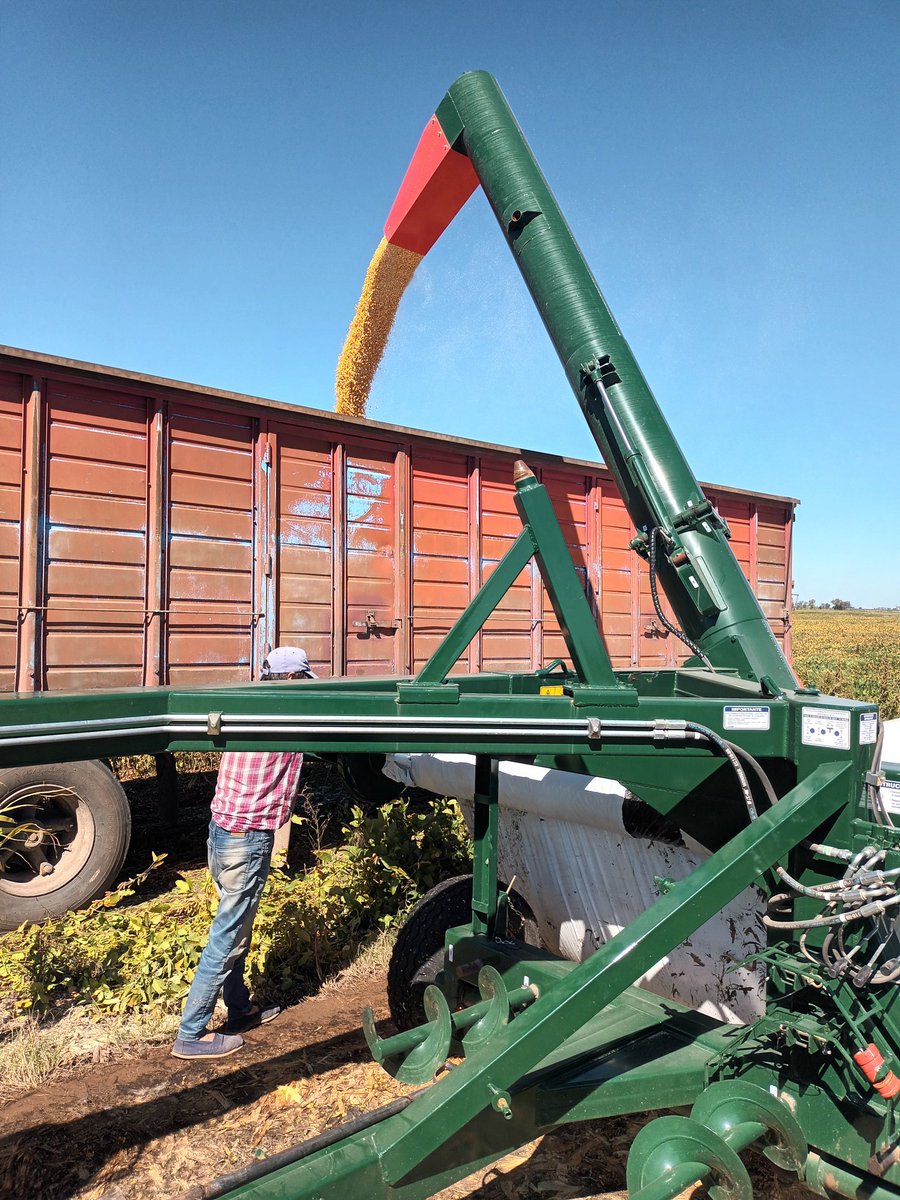 Julio Reumann tweet media