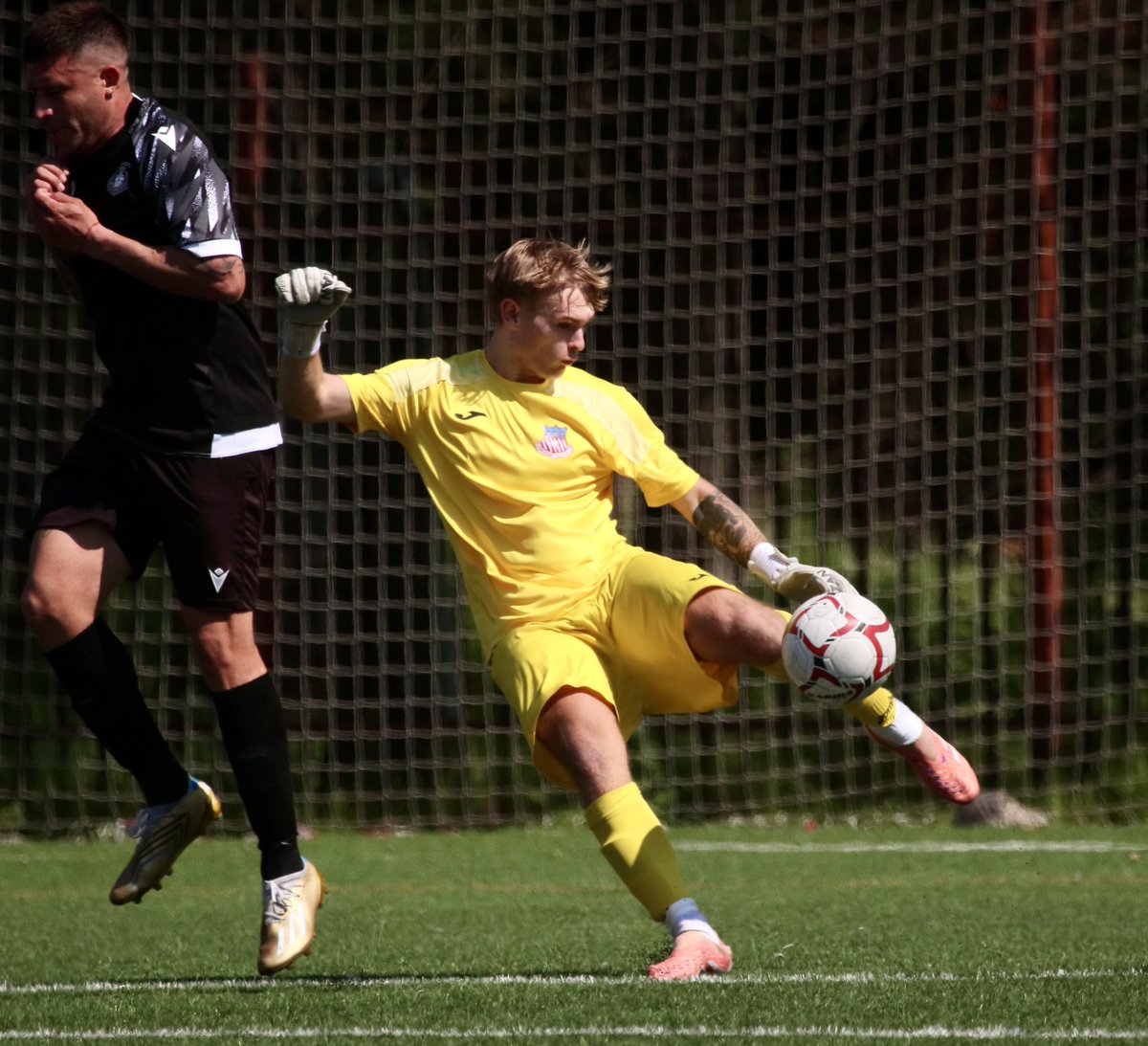 AD Complutense Alcalá tweet media