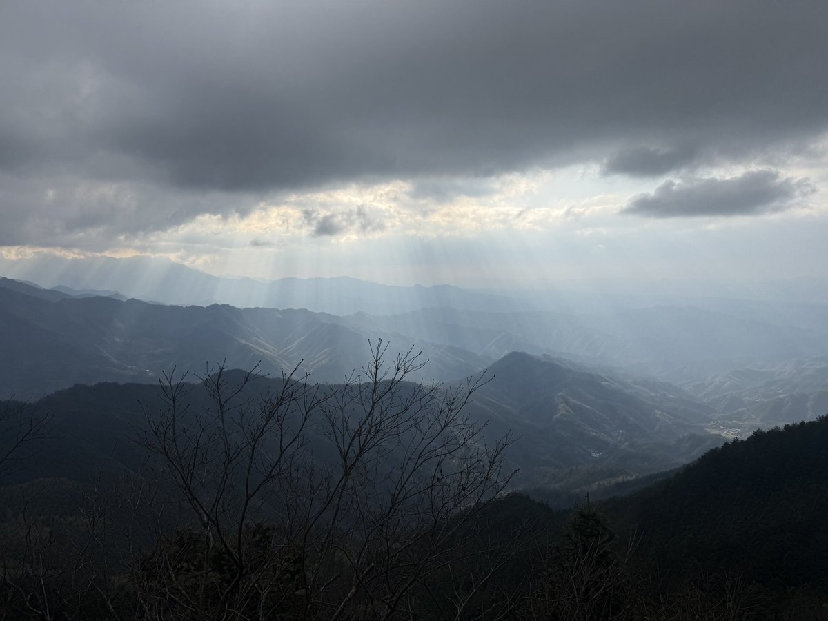 小小易一只 tweet media