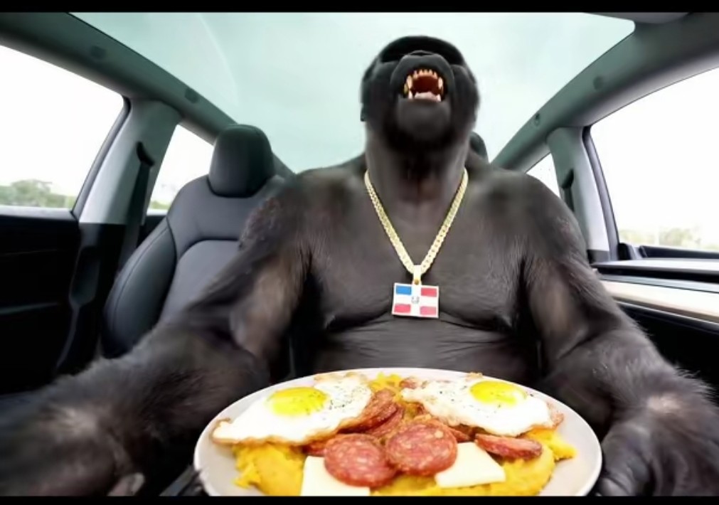 antichaveztia-opoficcion tweet media