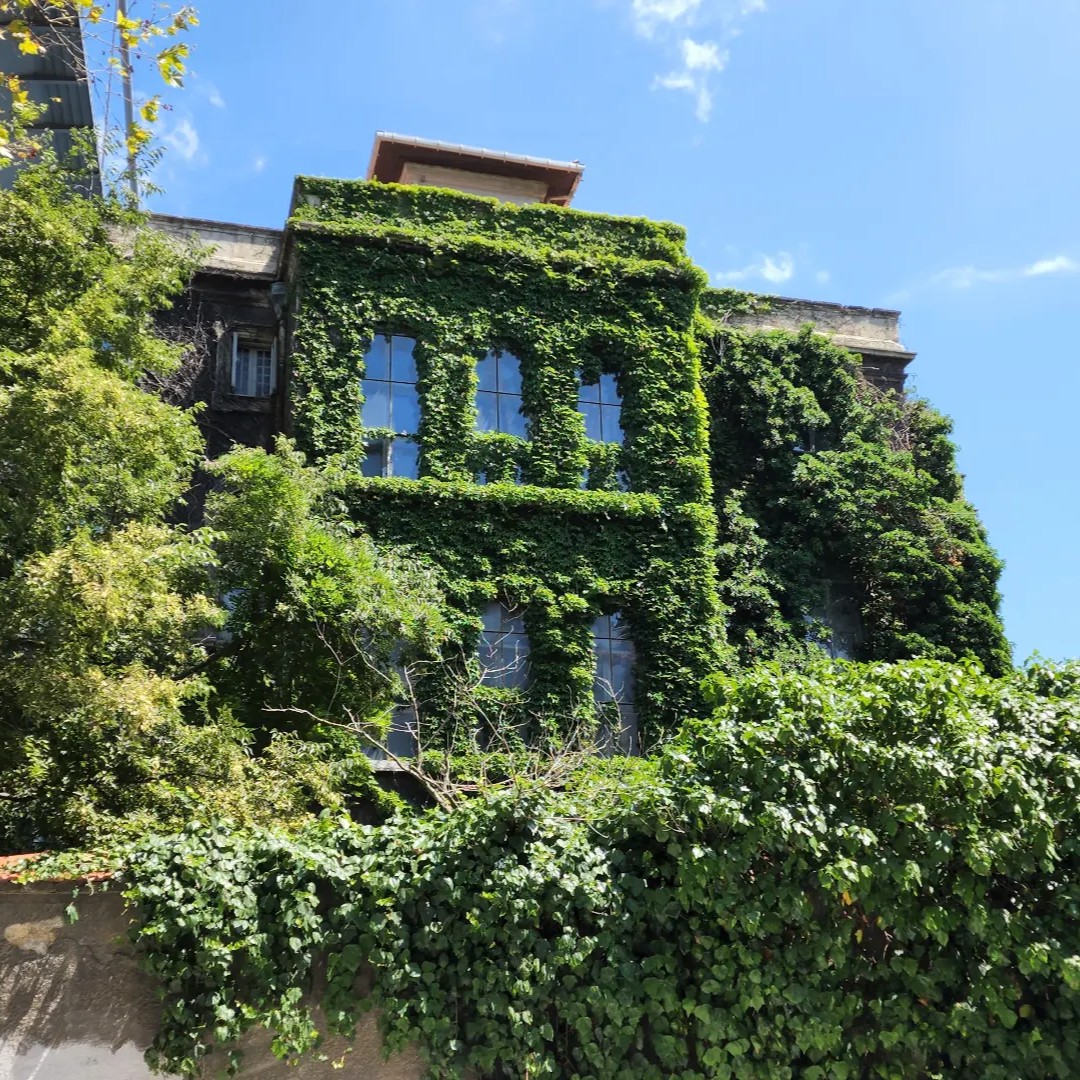 Arkitektcom tweet media