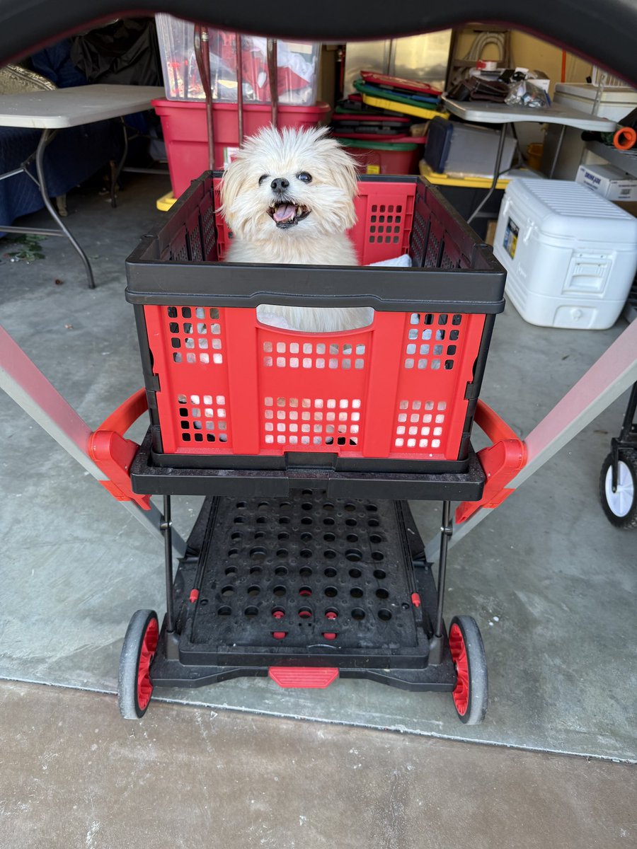 AdrienneMaloof's tweet image. Spring cleaning with mommy 🧹❤️🏎️ #SpringCleaning #GypsyGirl