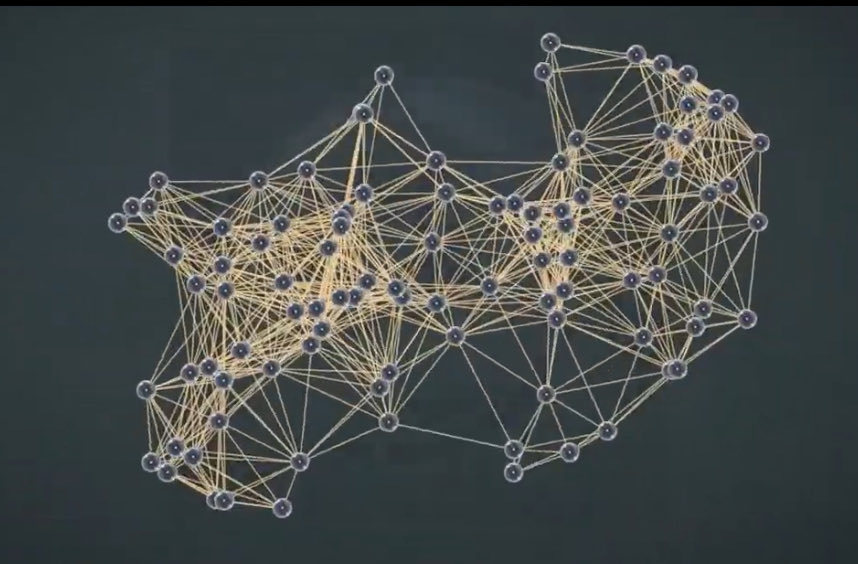 Succulent at Heart tweet media