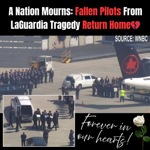 Googlegirl 🌊 Agnostic💙Lover of Life🌻🌈💙🍁 tweet media