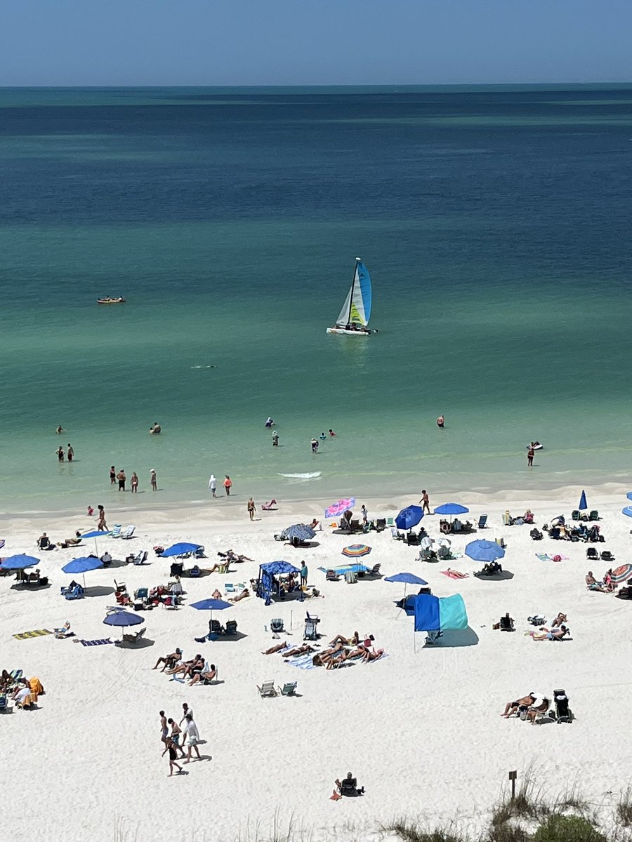 Sam Kirell tweet media