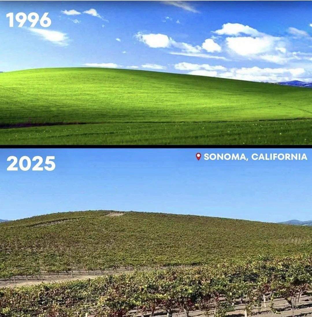 ƃuᴉlɹɐʇS 💹🧲 tweet media