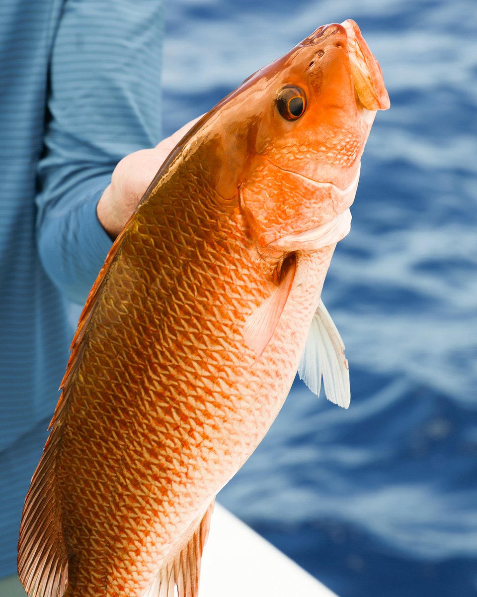 Benchmade Knife Co., Inc tweet media