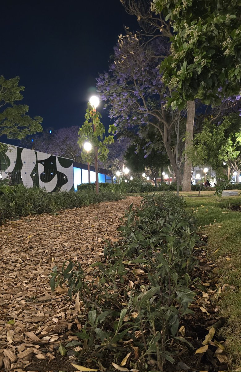 Libro Negro tweet media