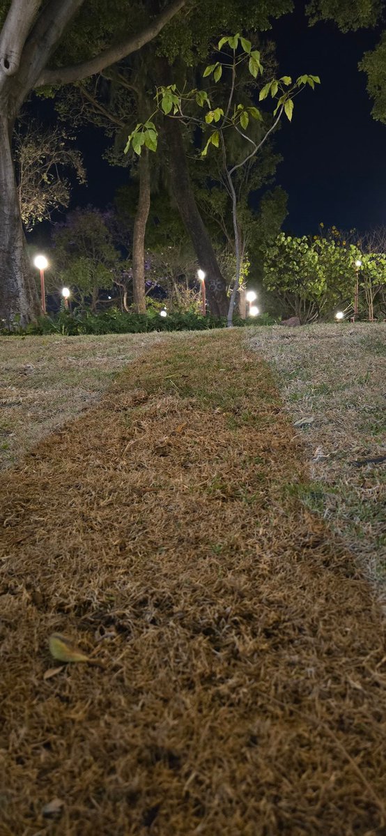 Libro Negro tweet media