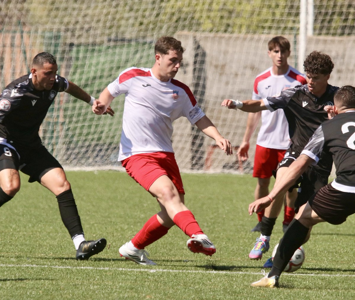 AD Complutense Alcalá tweet media