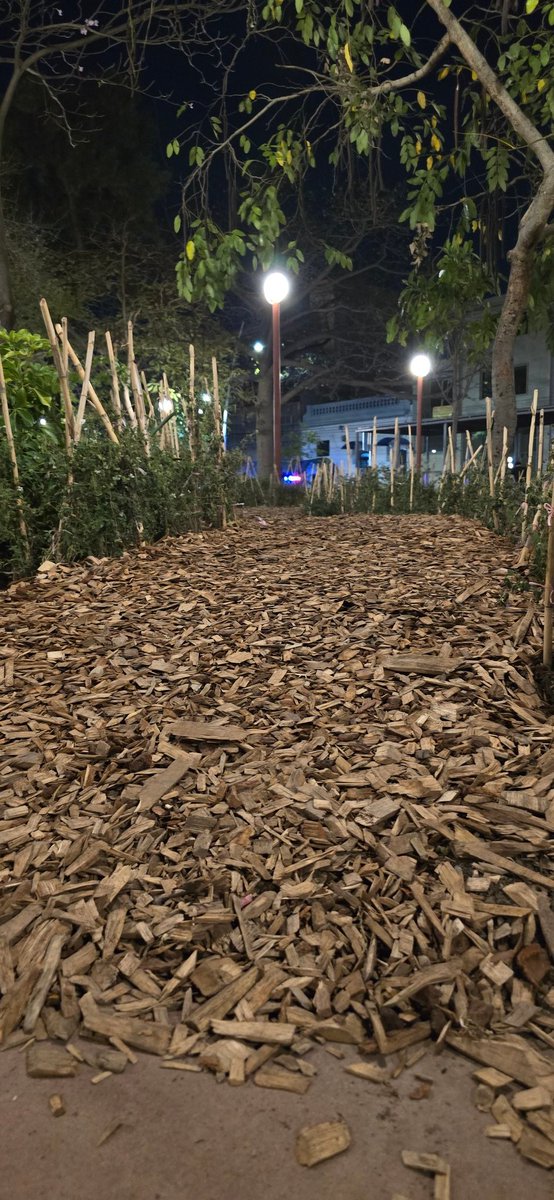 Libro Negro tweet media