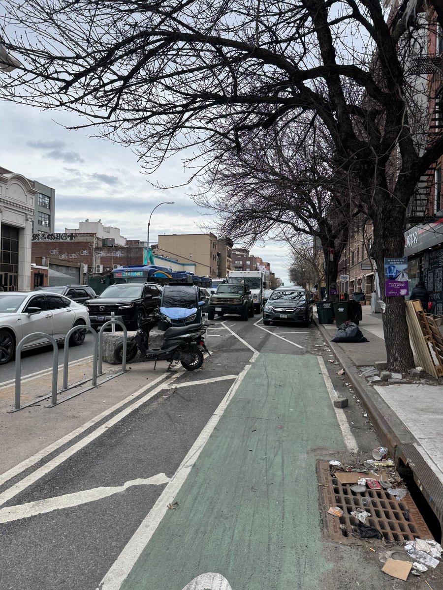 emily lipstein tweet media