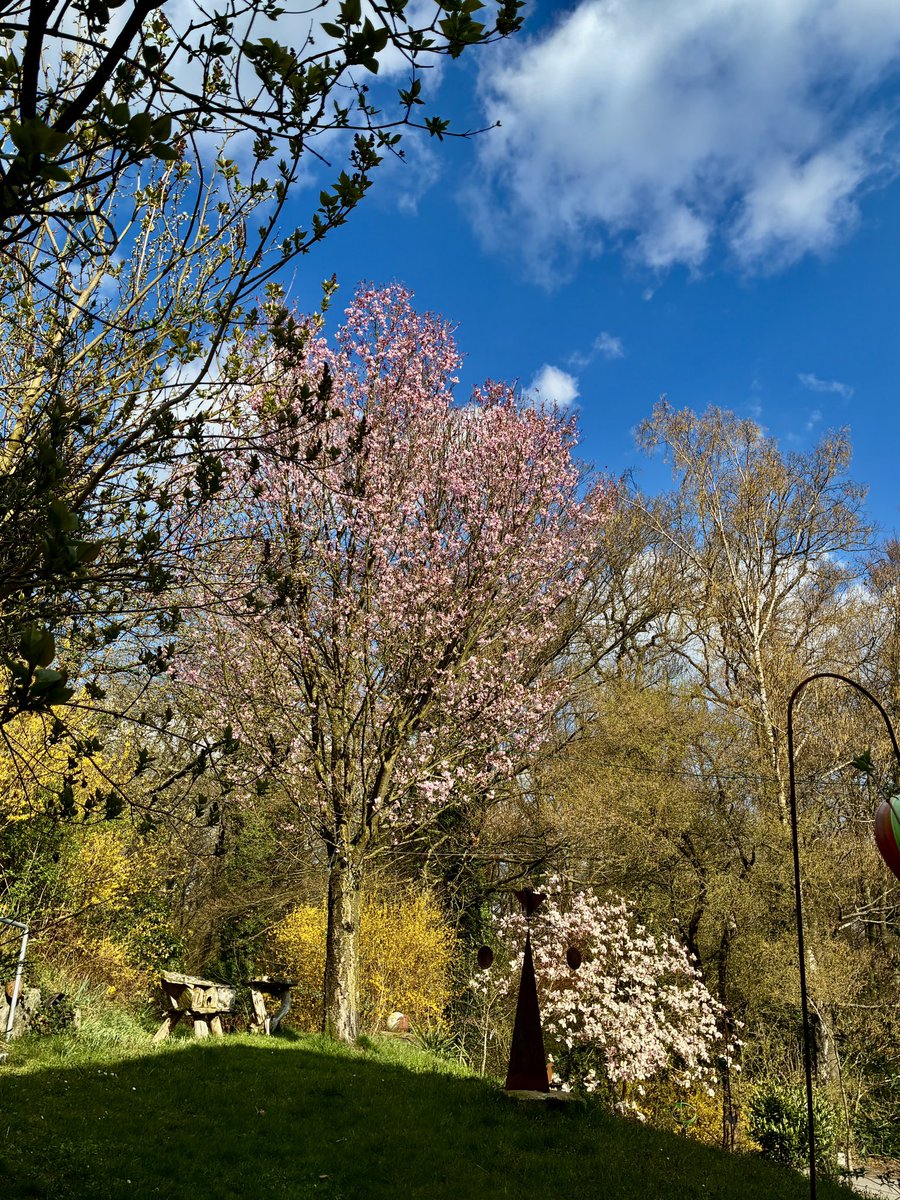 Bernhard B. tweet media