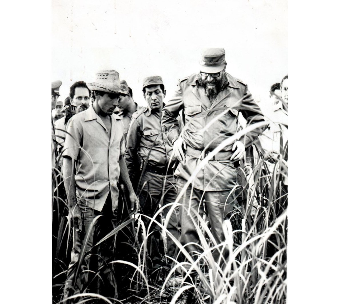 30/marzo/1971 El Comandante en Jefe #FidelPorSiempre Castro Ruz visita la Estación Experimental de la Caña de Azúcar, en Jovellanos, #Matanzas #Cuba #Azucareros