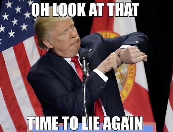 Leebee14 🇺🇸🧢 tweet media