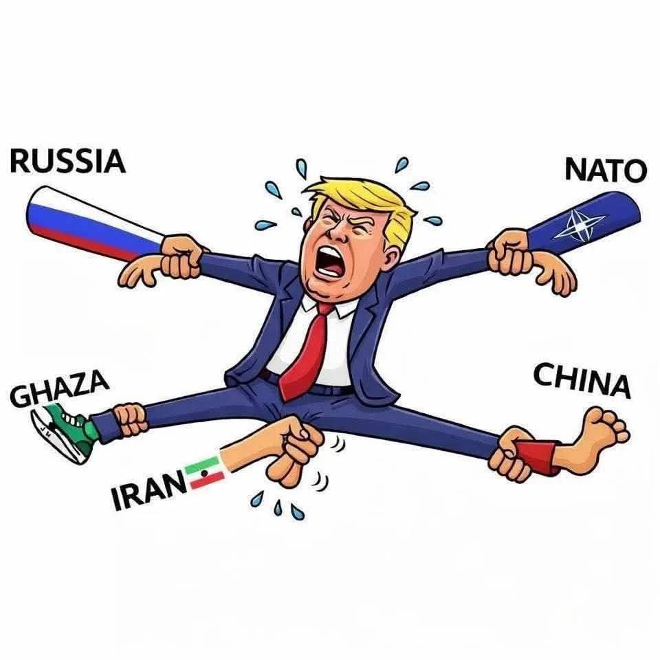 Olena Rohoza tweet media