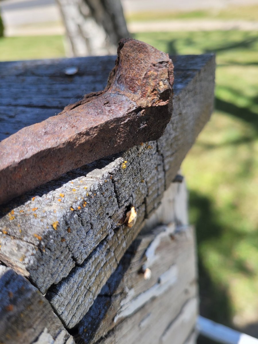 Stephen C. Schultz tweet media