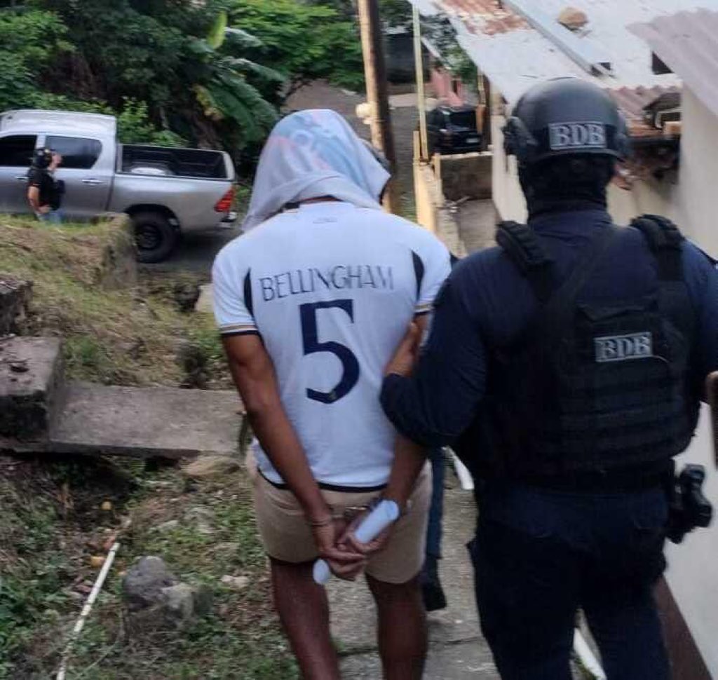 デヴィッド ⚓️ tweet media