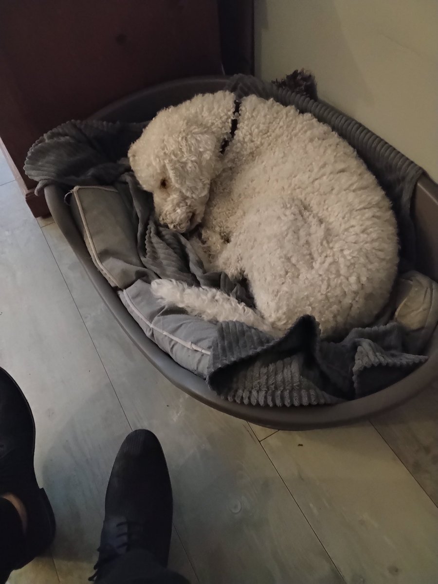 ruud blomsma tweet media