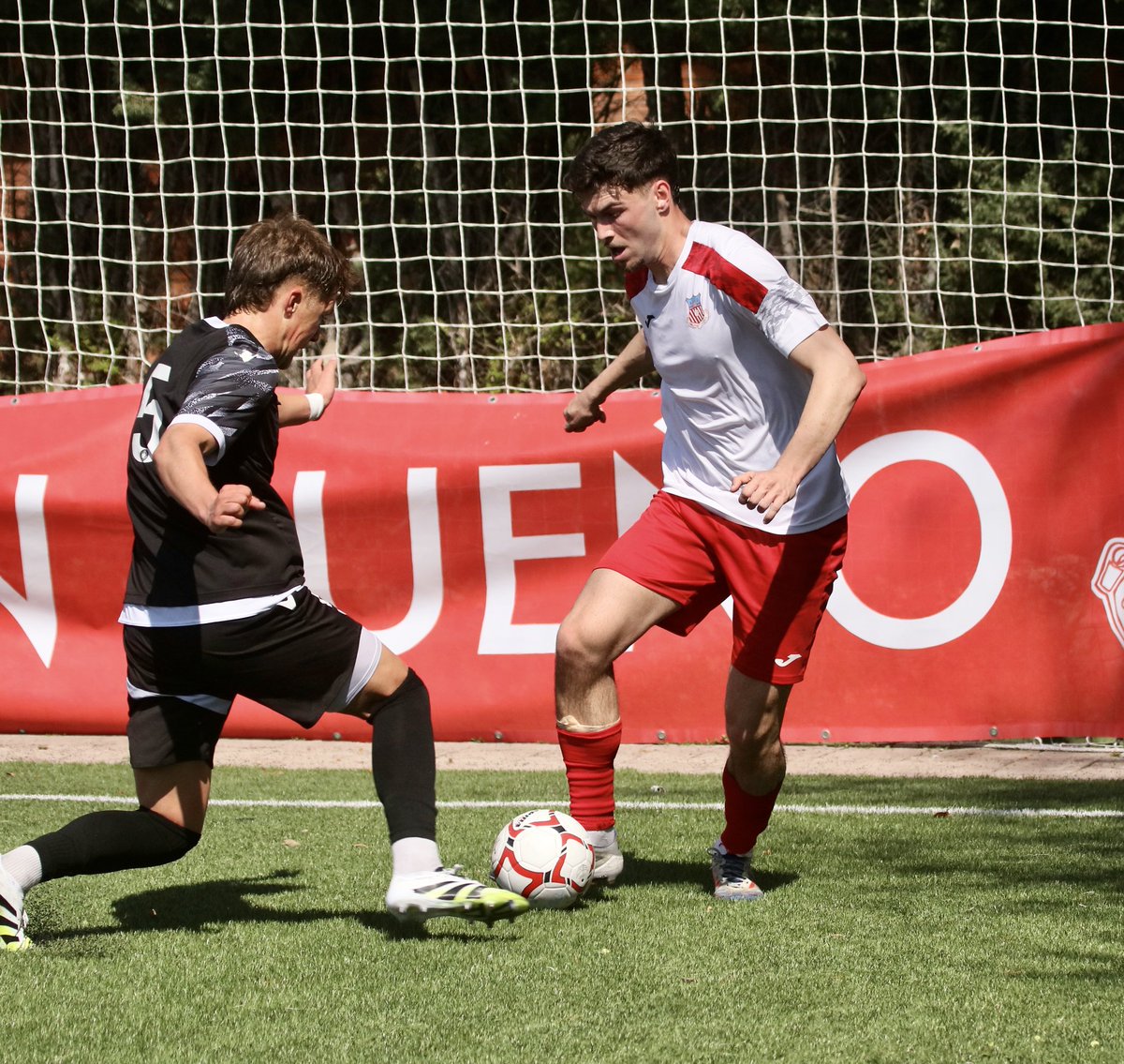 AD Complutense Alcalá tweet media