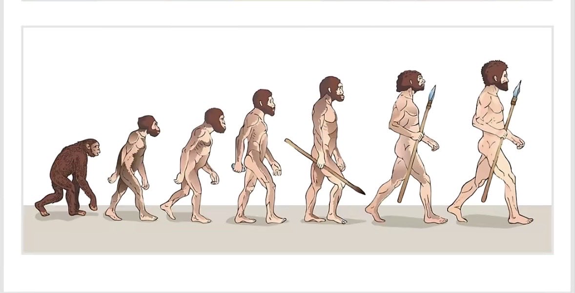 ohaviyah tweet media