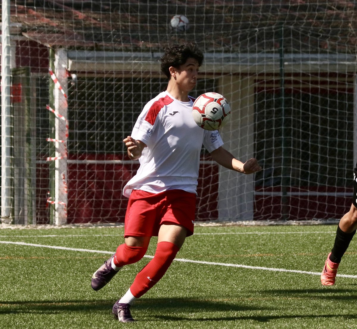 AD Complutense Alcalá tweet media