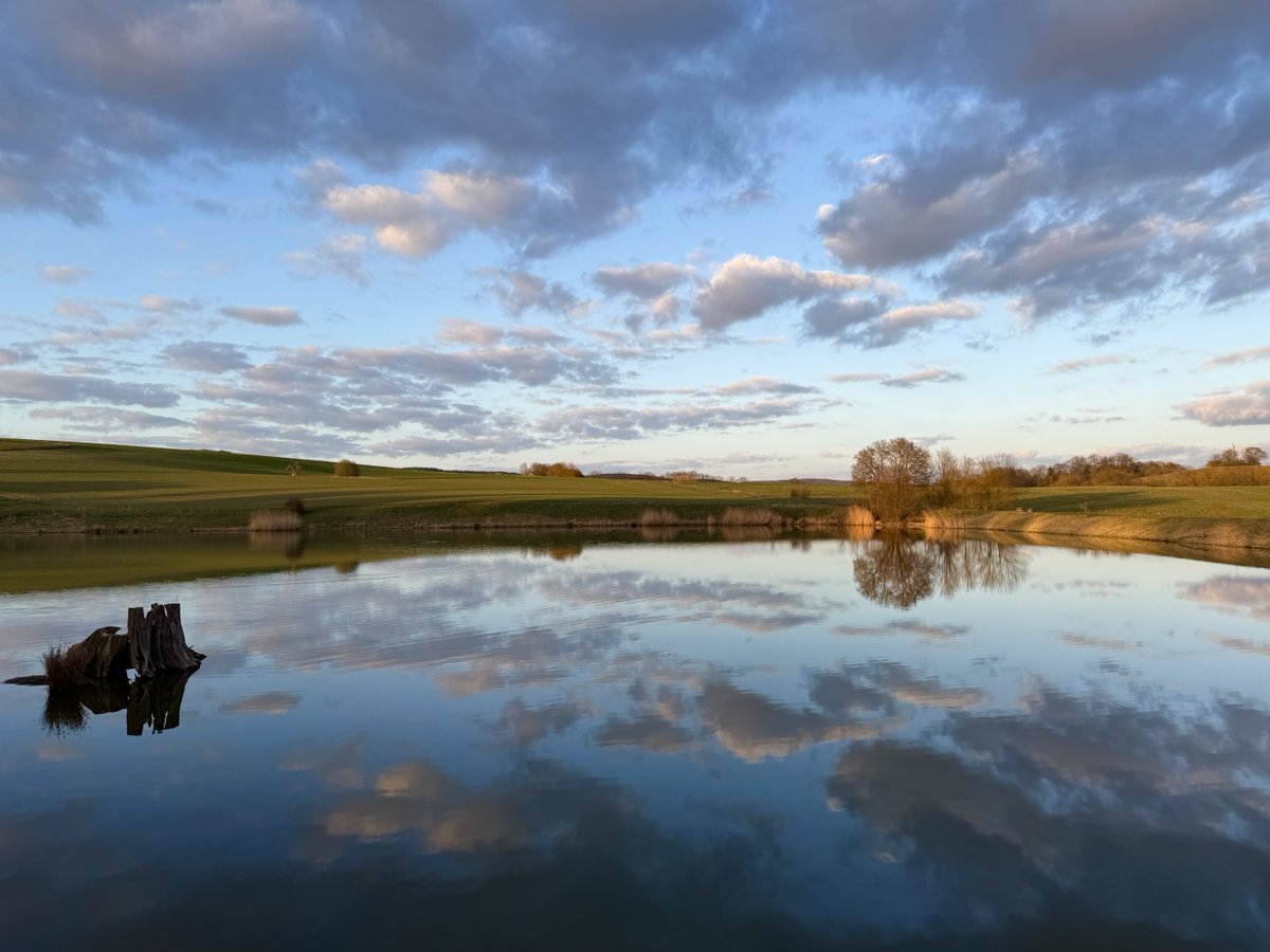 STR_1893 tweet media