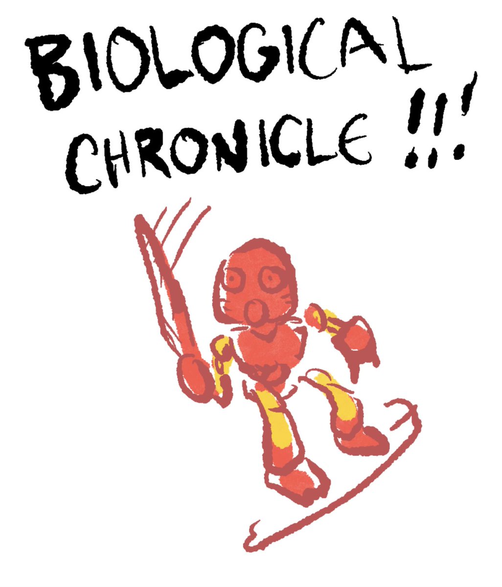 Alexodium tweet media