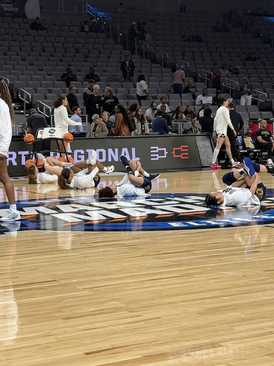 Meghan L. Hall tweet media