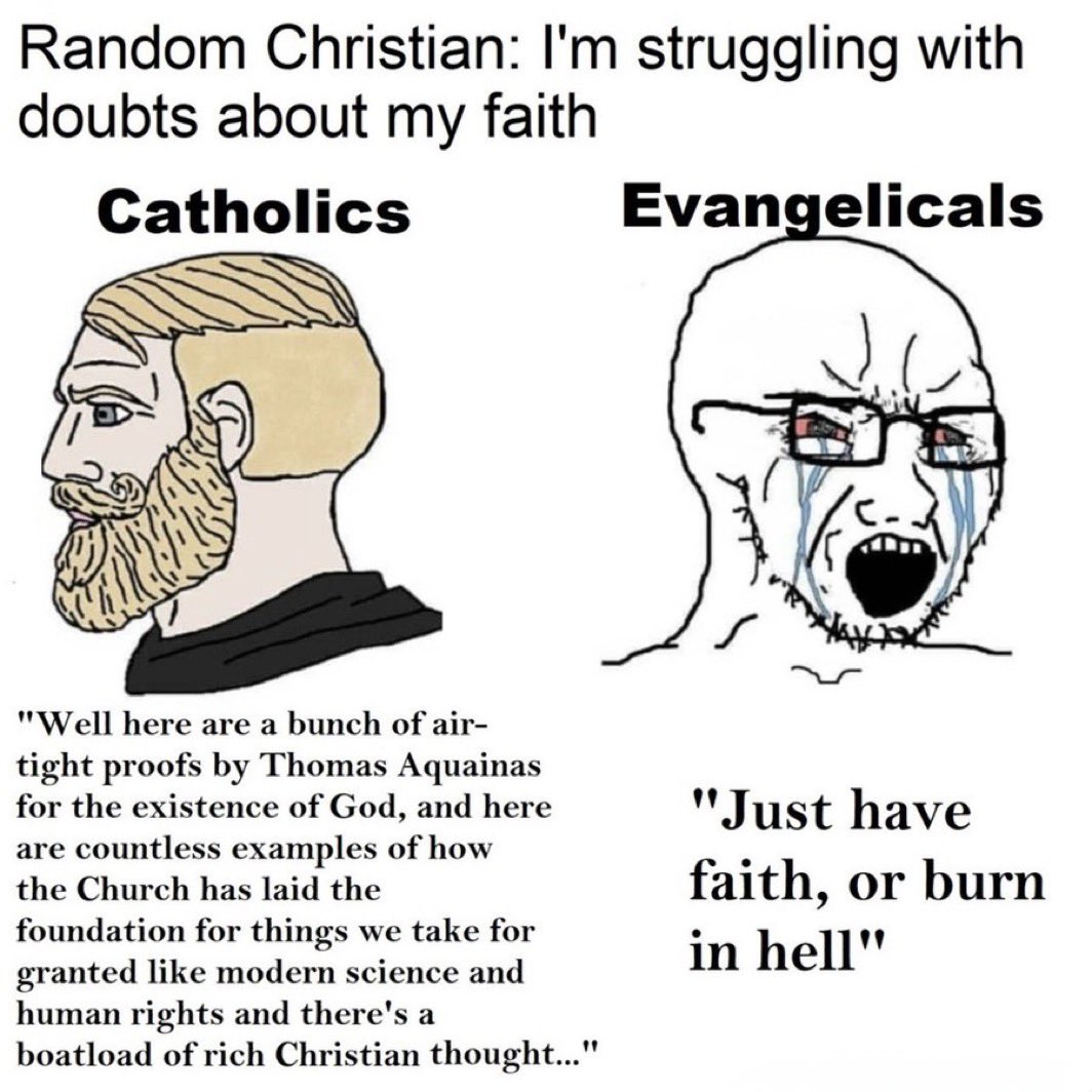 Holden Cole tweet media