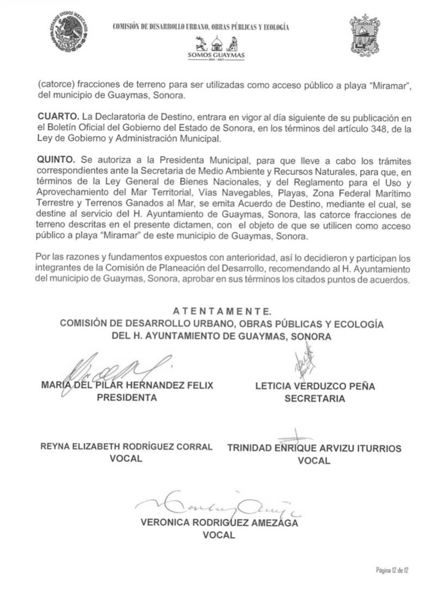 expresion guaymas tweet media