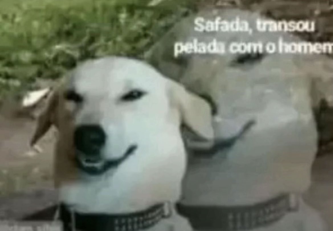 JURÍDICO GR|TIDO🇧🇬🐮❤️ tweet media