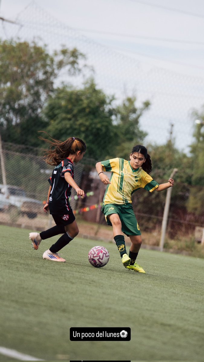 PLANETA DEFENSA tweet media