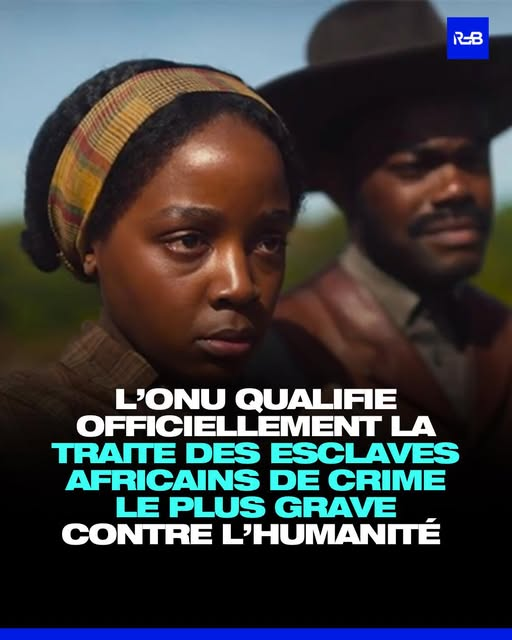 Pierre d'Herbais tweet media