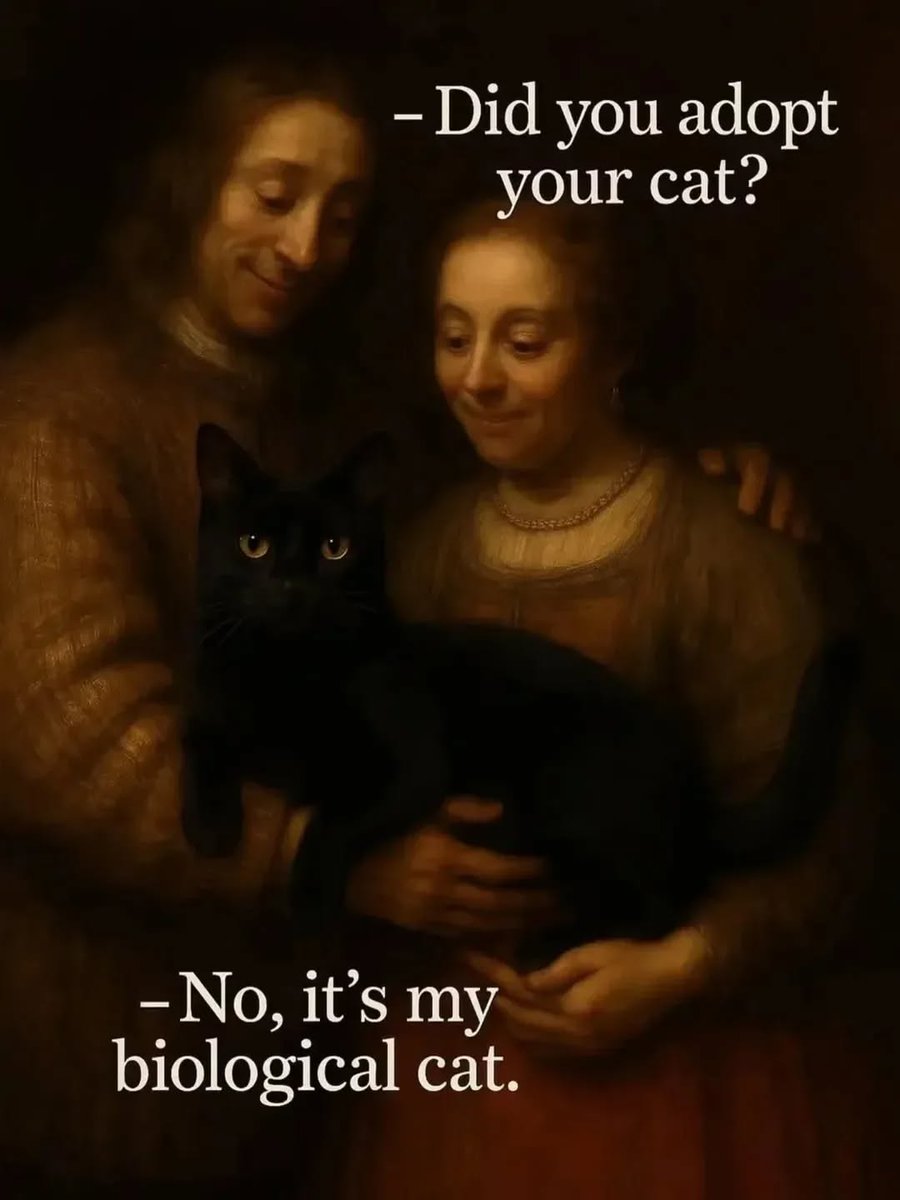 We don't deserve cats 😺 tweet media