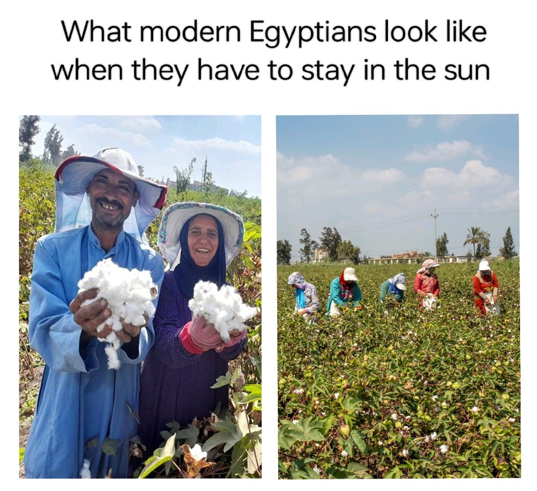 stored labor tweet media