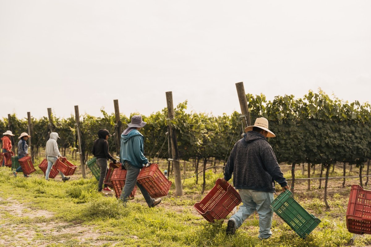 Radio Fórmula Bajío tweet media