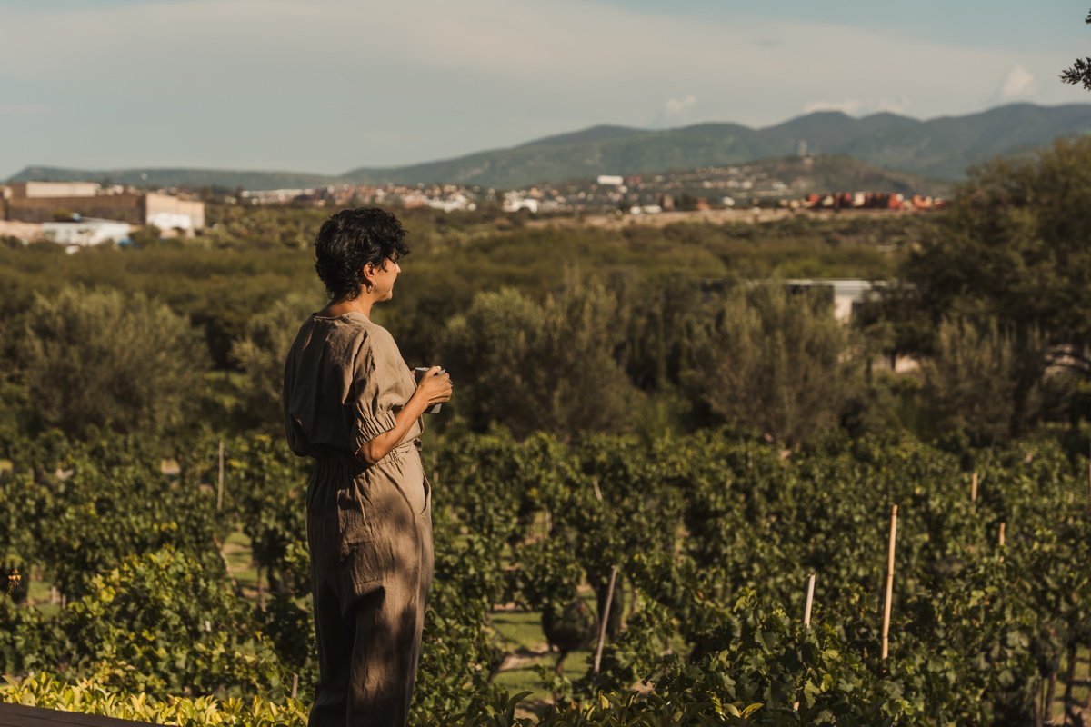 Radio Fórmula Bajío tweet media