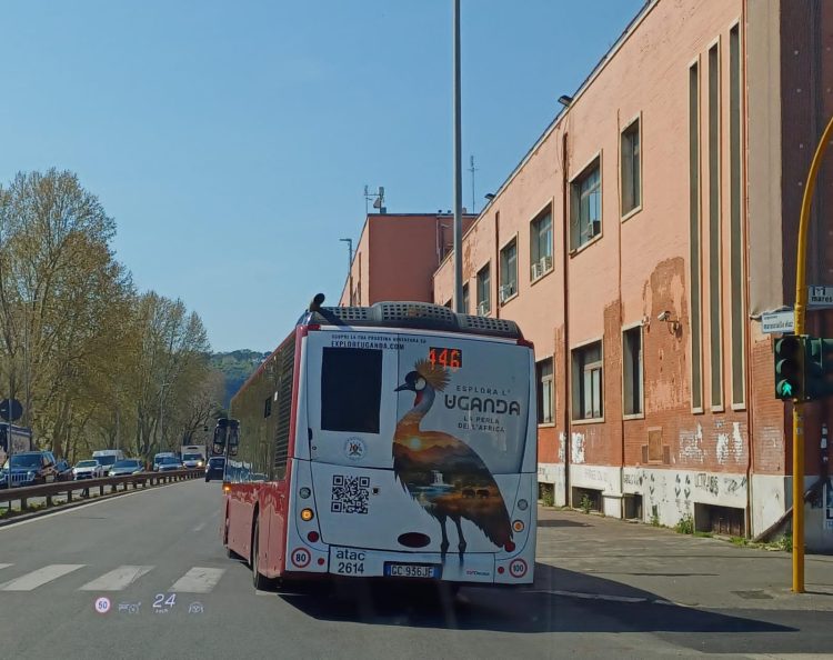 Africa Facts Zone tweet media