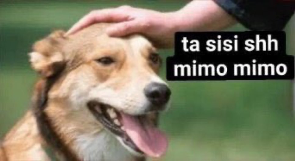 BetaRayBong tweet media