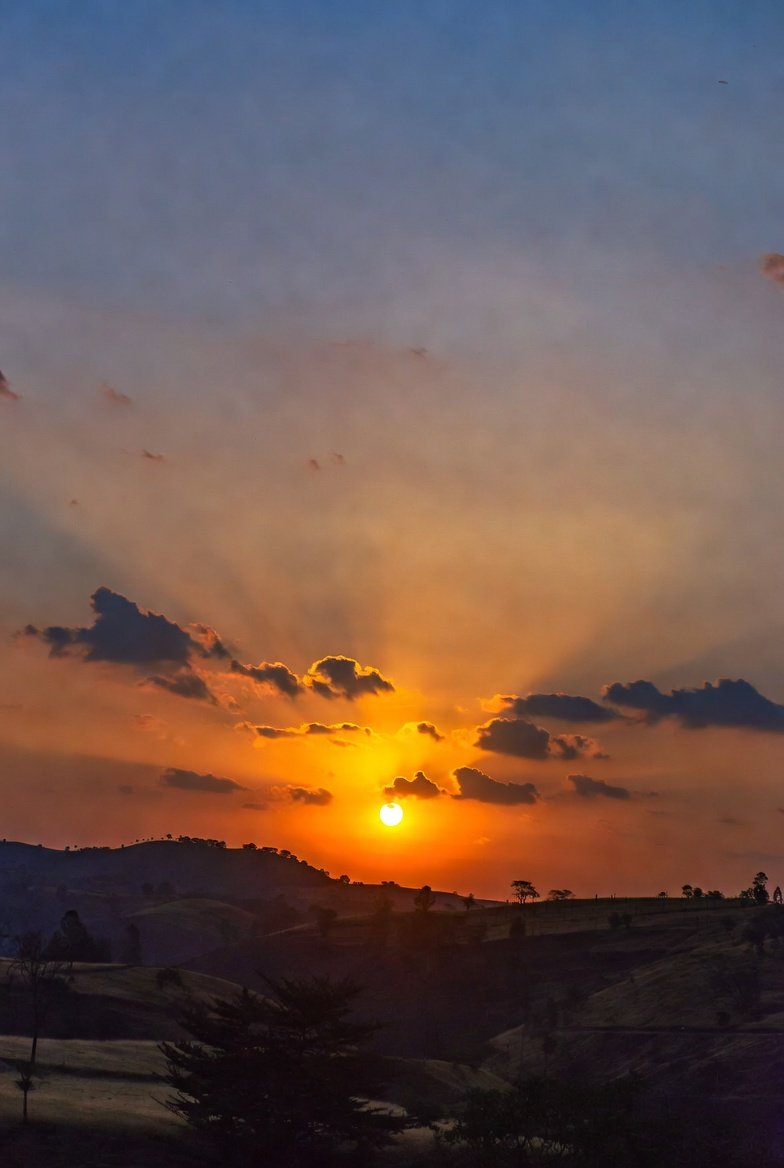 Dandy Smart tweet media