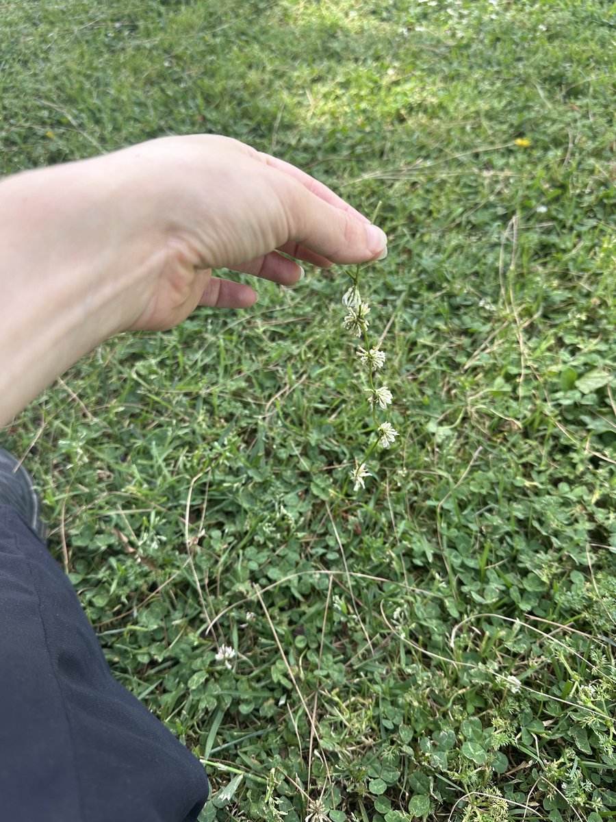 liv eats tweet media