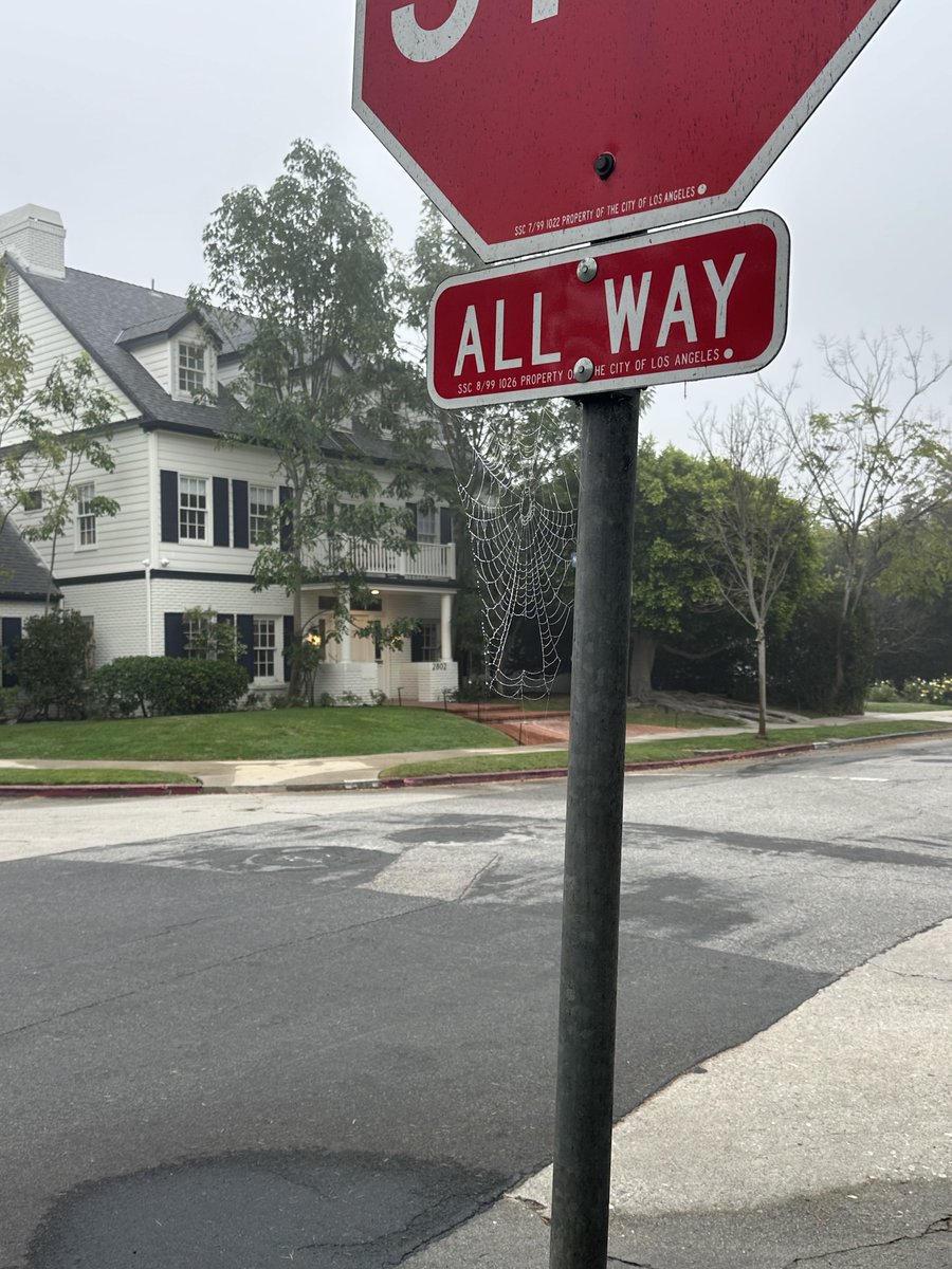 liv eats tweet media