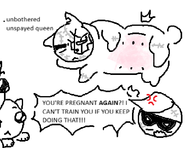 ඞ Isa/Meow | ASTRAGHENNA ‼️ tweet media