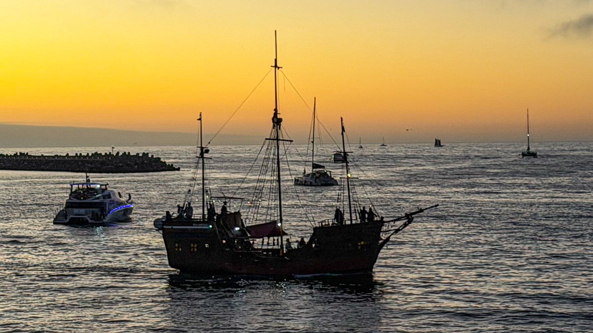 Ulrich Janse van Vuuren tweet media