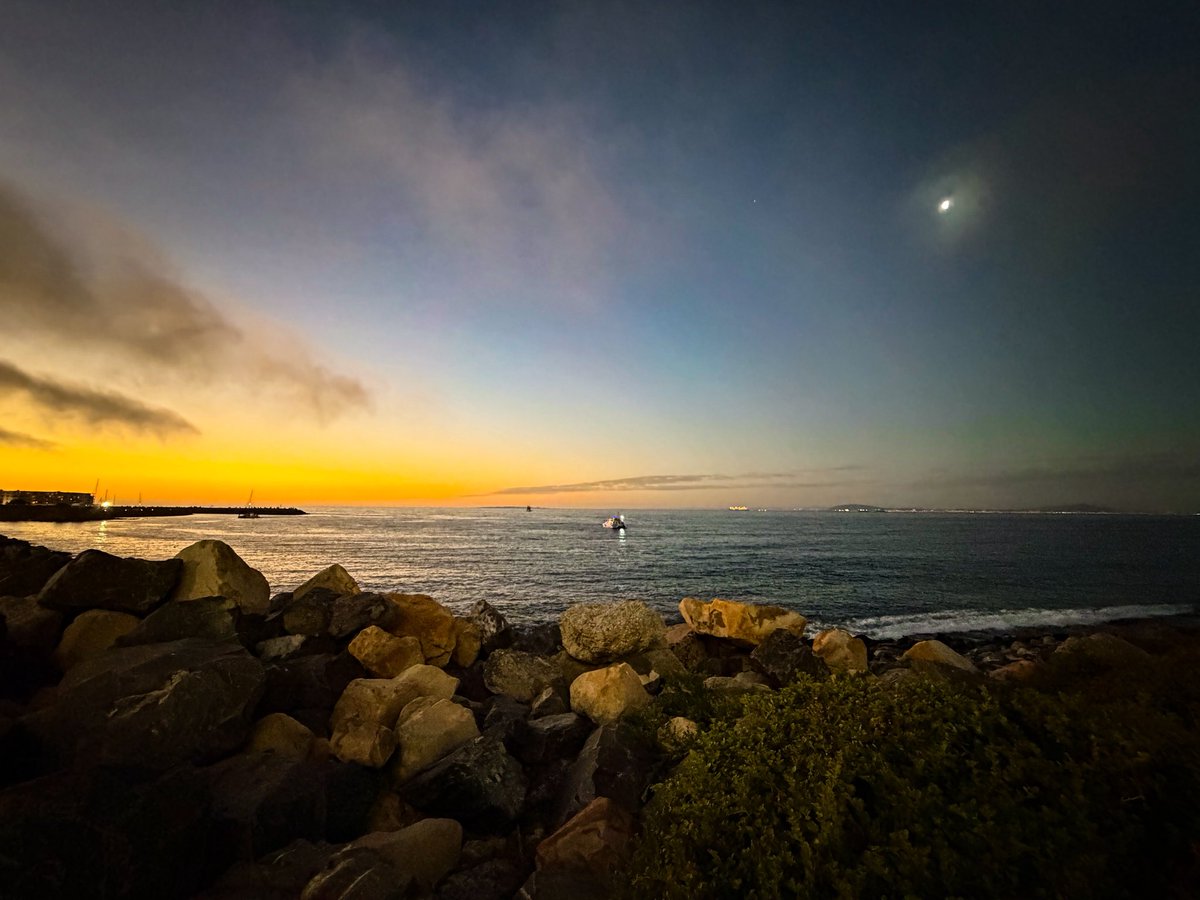 Ulrich Janse van Vuuren tweet media