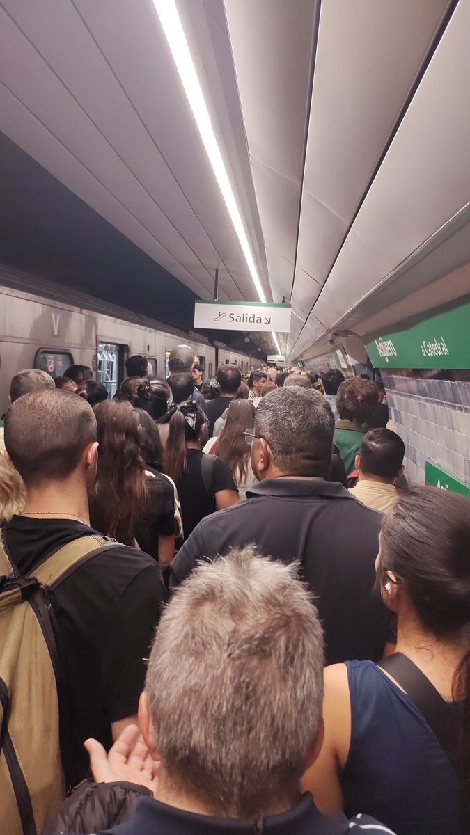 AndreRojas tweet media